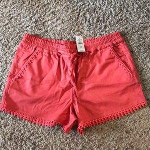 NWT LOFT Outlet Shorts
